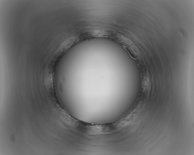 X0000111020473200906261544