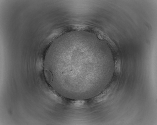 X0000111020474200906261544