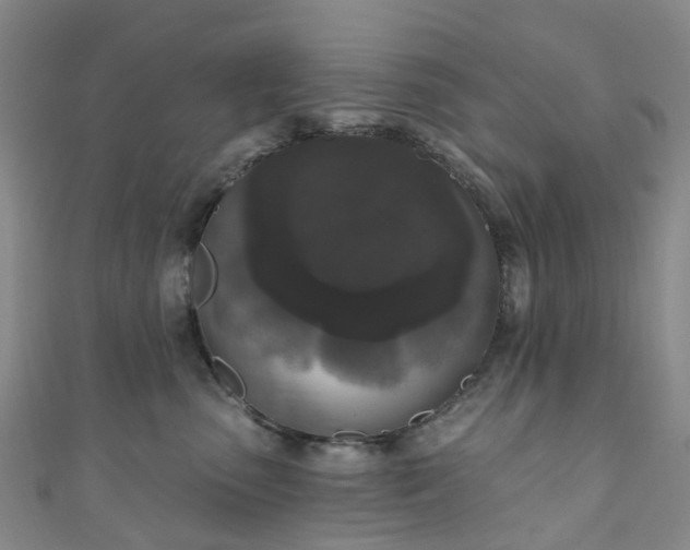 X0000111020475200906261544