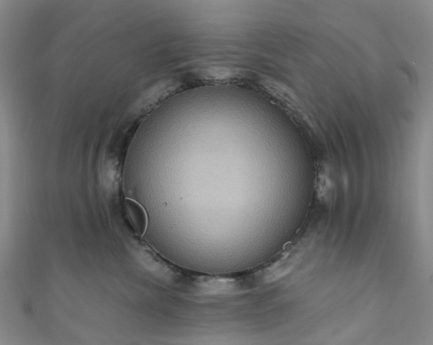 X0000111020476200906261544