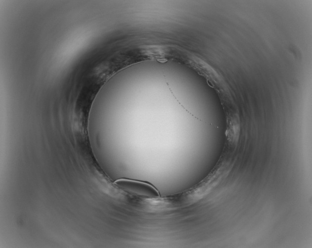 X0000111020477200906261544