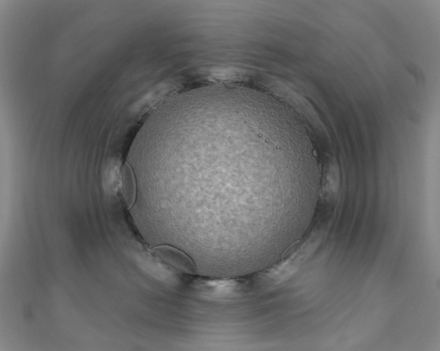 X0000111020478200906261544