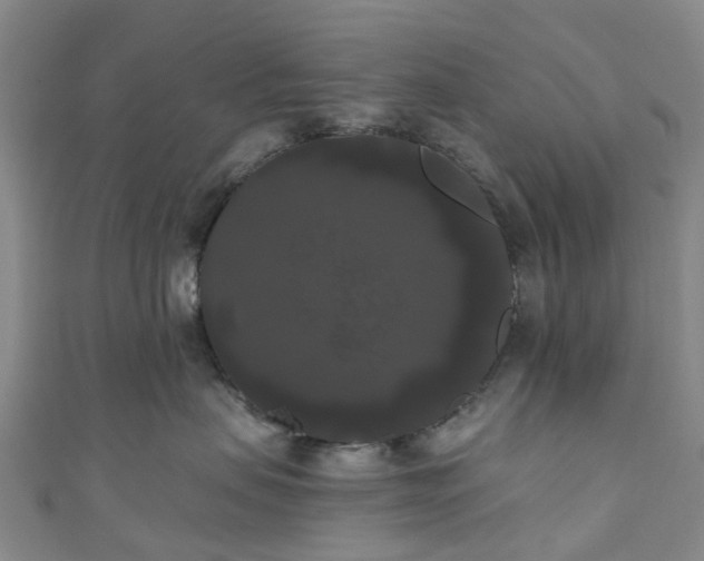X0000111020479200906261544