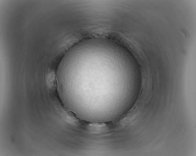 X0000111020480200906261544