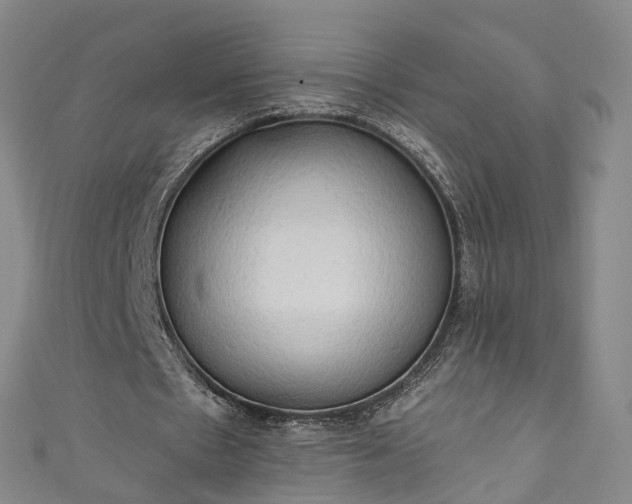 X0000111020481200906261544