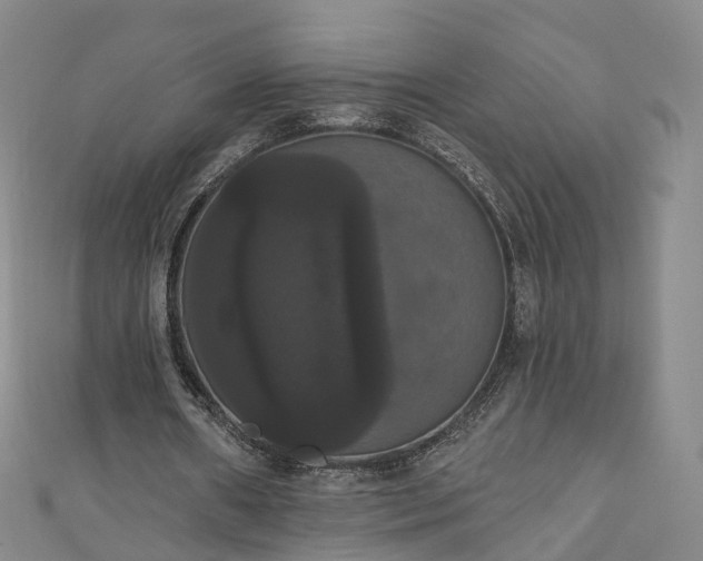 X0000111020482200906261544