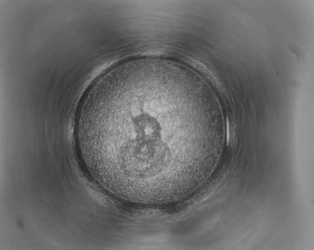 X0000111020483200906261544