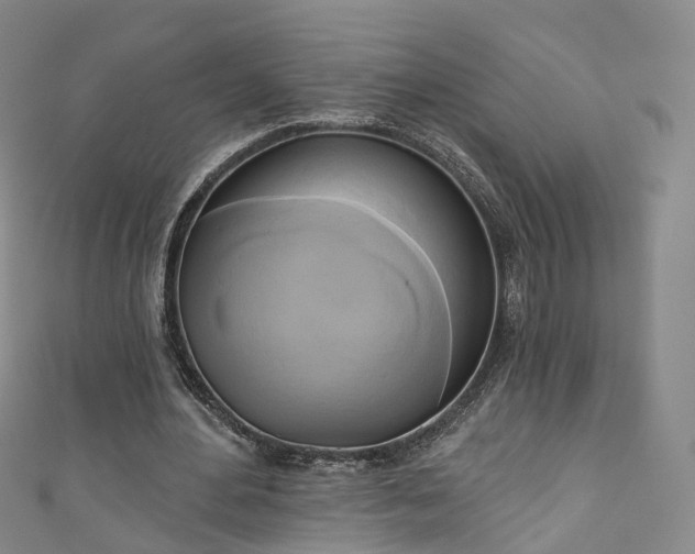 X0000111020484200906261544
