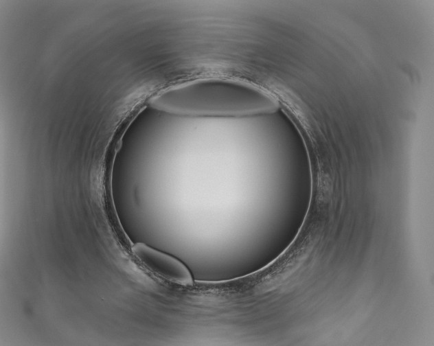 X0000111020485200906261544