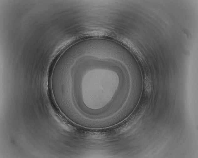 X0000111020486200906261544