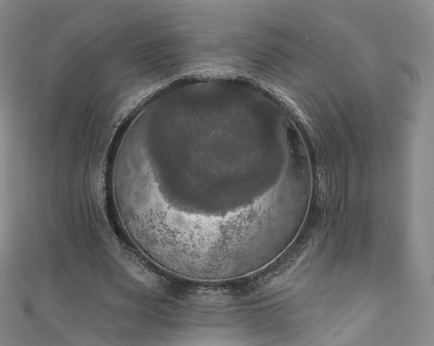 X0000111020487200906261544