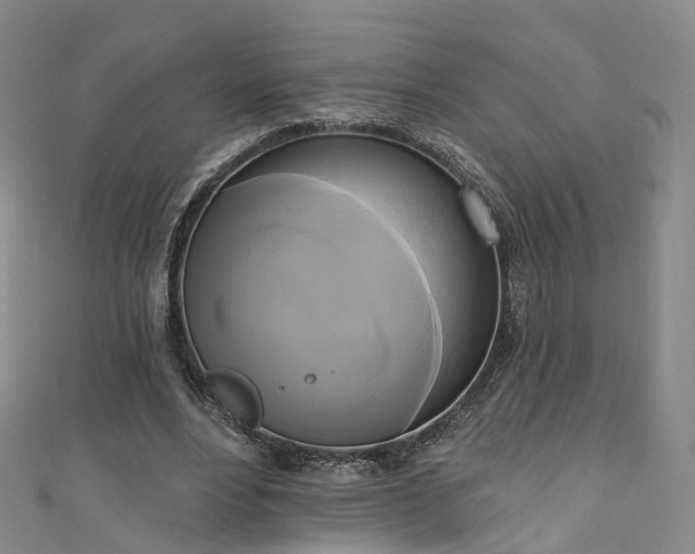 X0000111020488200906261544