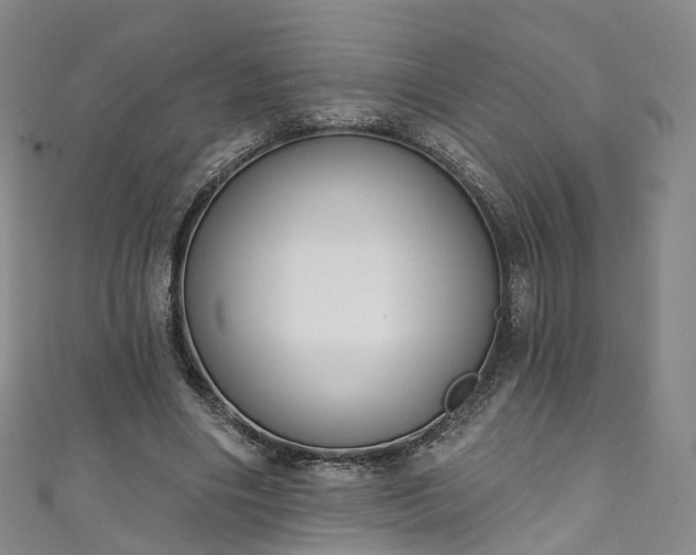 X0000111020490200906261544