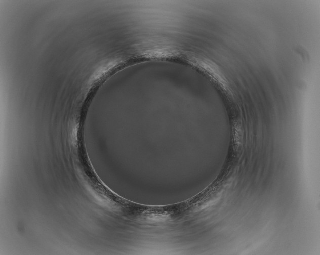 X0000111020491200906261544