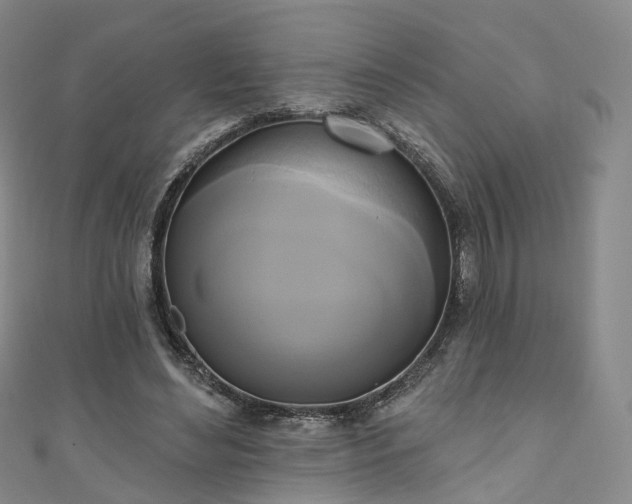 X0000111020492200906261544
