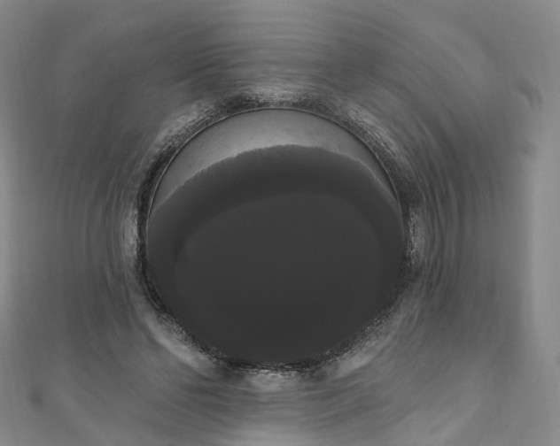 X0000111020494200906261544