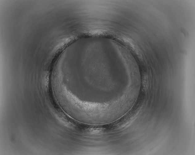 X0000111020495200906261544