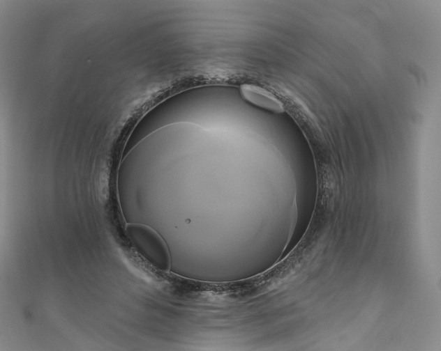 X0000111020496200906261544