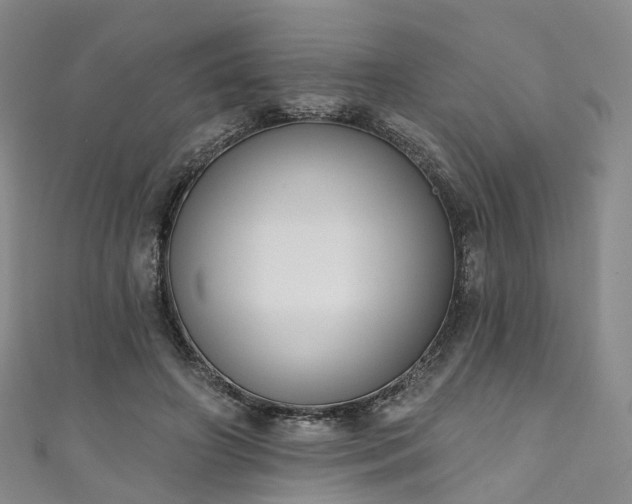 X0000111020498200906261544