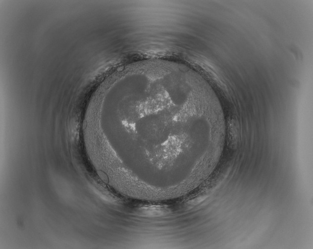 X0000111020499200906261544