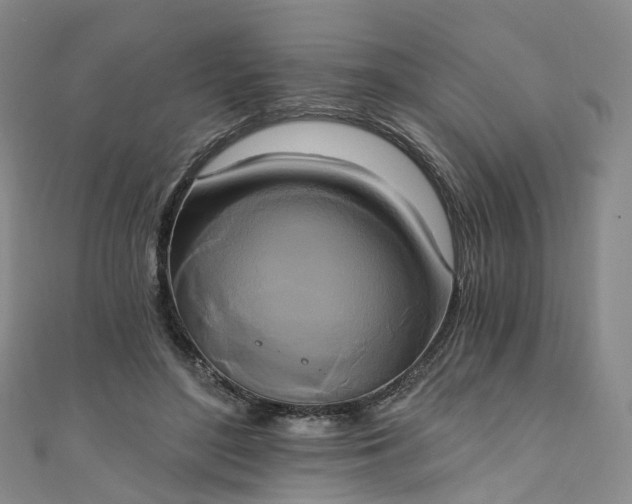 X0000111020500200906261544