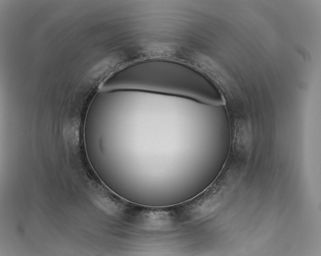 X0000111020501200906261543