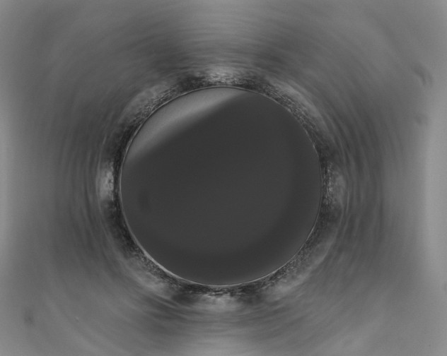 X0000111020502200906261543