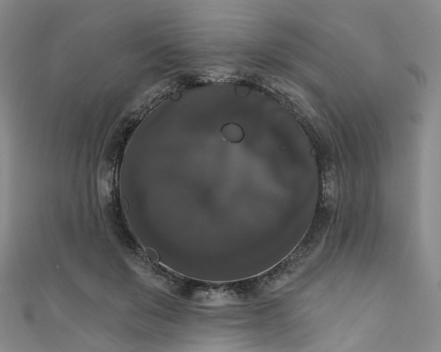 X0000111020503200906261543