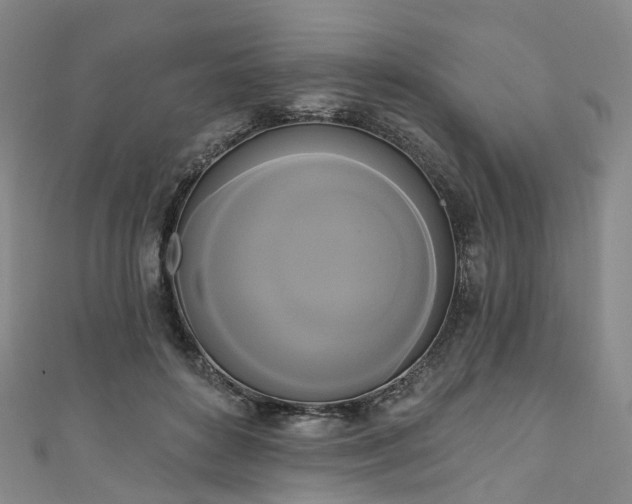 X0000111020504200906261543