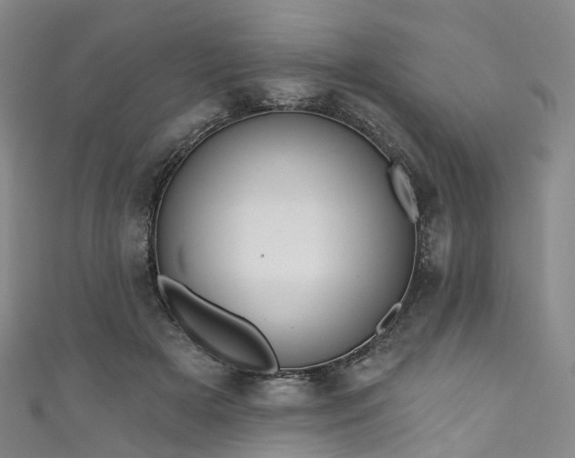 X0000111020505200906261543