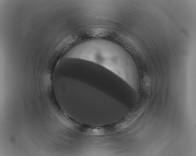 X0000111020506200906261543