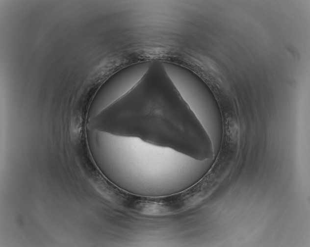 X0000111020507200906261543