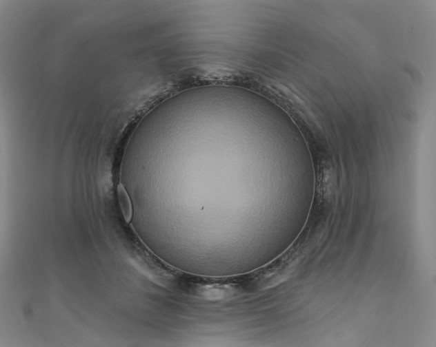 X0000111020508200906261543
