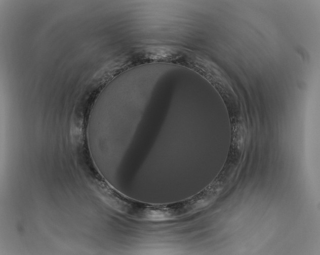 X0000111020510200906261543