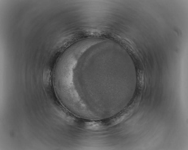 X0000111020511200906261543