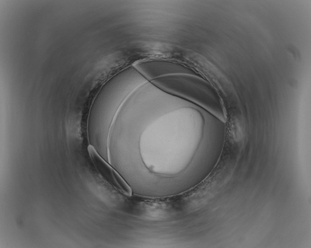 X0000111020512200906261543