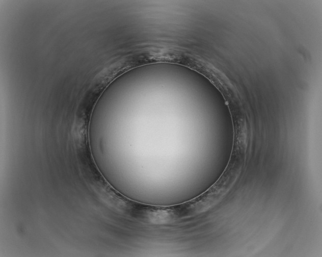 X0000111020513200906261543