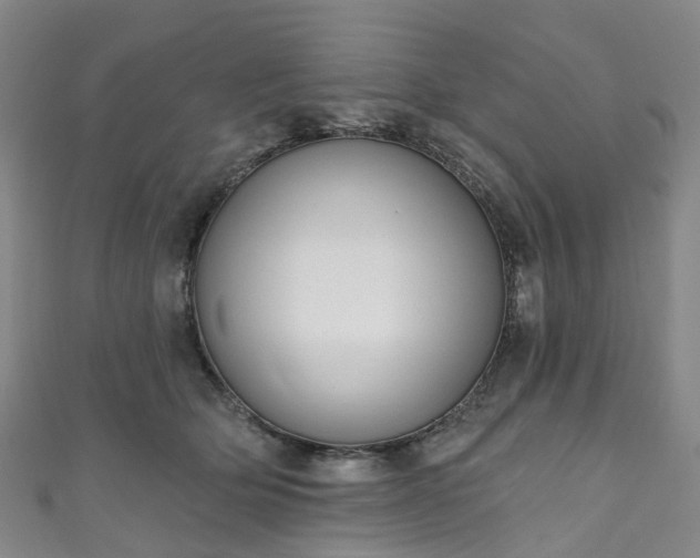 X0000111020514200906261543