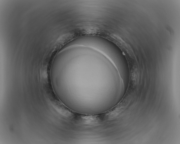 X0000111020516200906261543