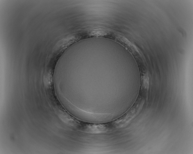 X0000111020517200906261543