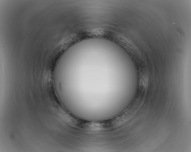 X0000111020518200906261543