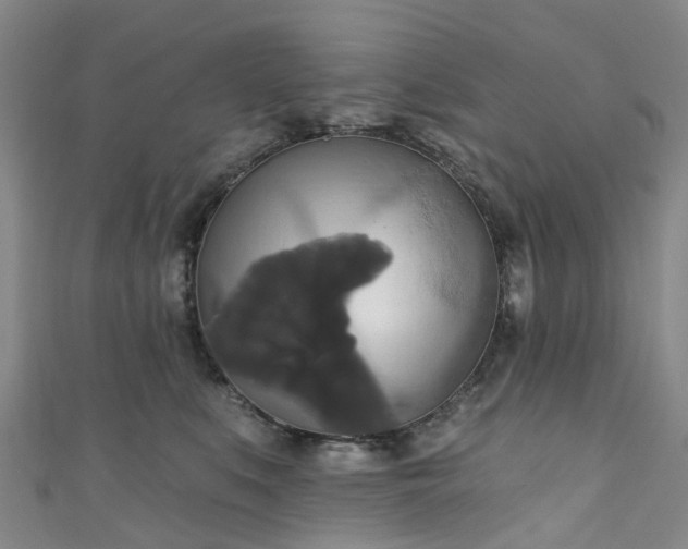 X0000111020519200906261543
