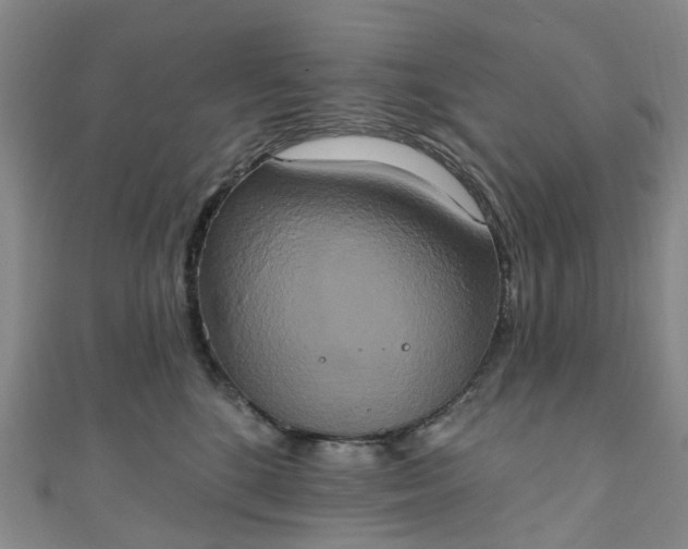 X0000111020520200906261543