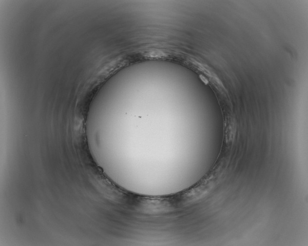 X0000111020521200906261543