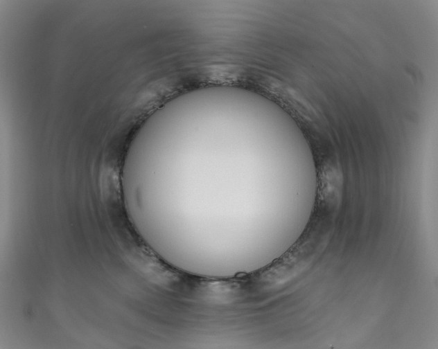 X0000111020522200906261543