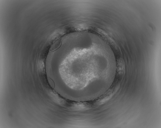 X0000111020523200906261543