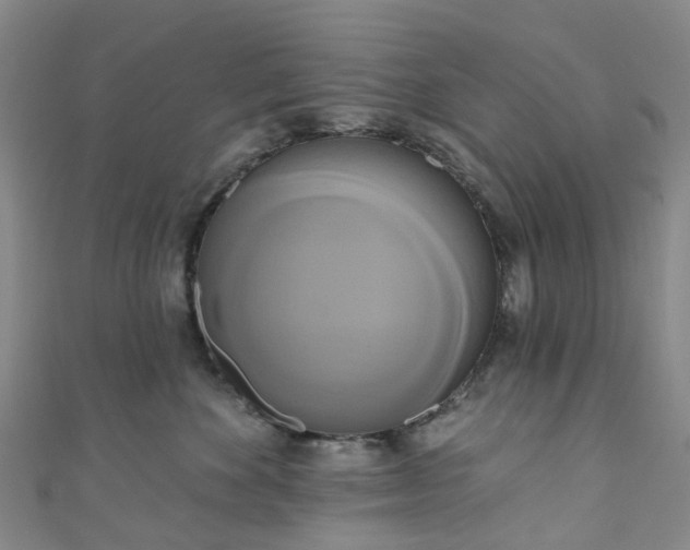 X0000111020524200906261543