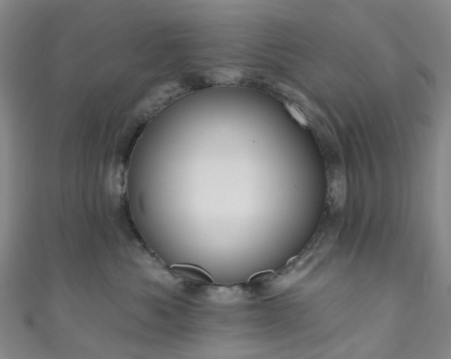 X0000111020525200906261543