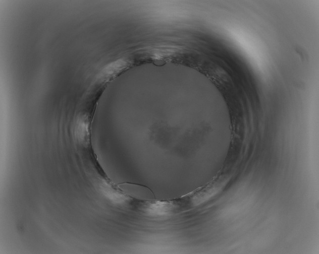 X0000111020527200906261543