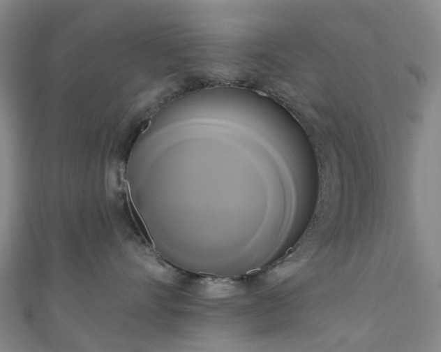 X0000111020528200906261543